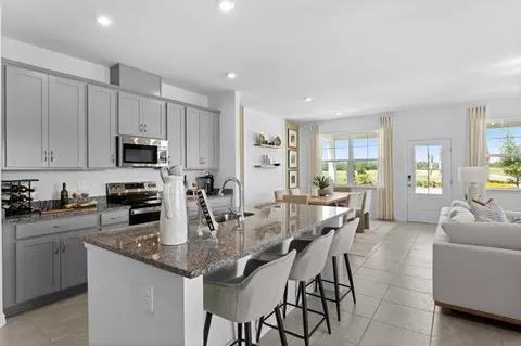 33157 Happy Heart Dr, Wesley Chapel, FL 33545