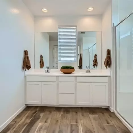 Bath - 8340 E Petra Ave, Mesa, AZ 85212 photo 1 of 5