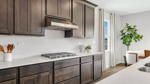 Kitchen - 265 Snowdrop Ln, Elgin, IL 60124 photo 4 of 11