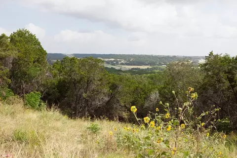 View/Area - 1612 Jolie Rose Bnd, Leander, TX 78641 photo 4 of 4