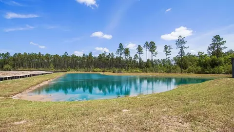 View/Area - 275 Eunola Ln, Freeport, FL 32439 photo 4 of 5