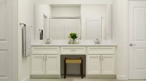 Bath - 11597 Violet Jasper Dr, Parrish, FL 34219 photo 1 of 8