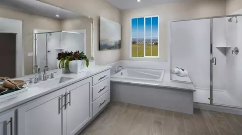 Bath - 7290 Oscar Dr, Tracy, CA 95377 photo 1 of 3