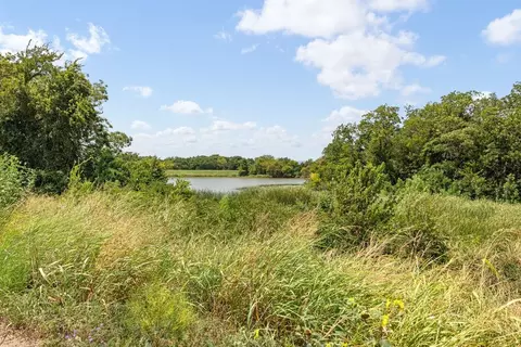 View/Area - 3217 Cross Shore Dr, Anna, TX 75409 photo 4 of 21
