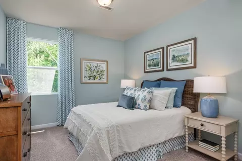 Bedroom - 852 Dragonfly Pond Way, Wake Forest, NC 27587 photo 1 of 10