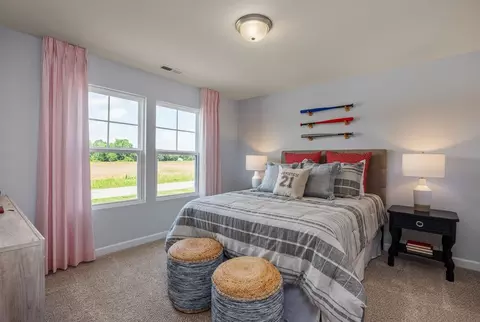 Bedroom - 852 Dragonfly Pond Way, Wake Forest, NC 27587 photo 5 of 10