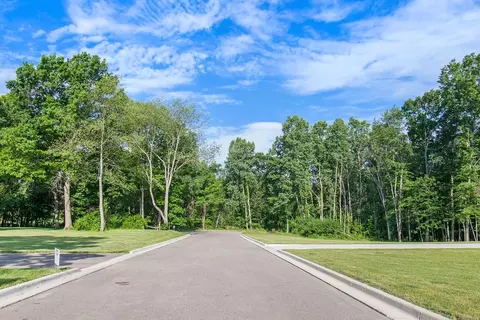 View/Area - Tormiston Drive, Haslett, MI 48840 photo 5 of 13