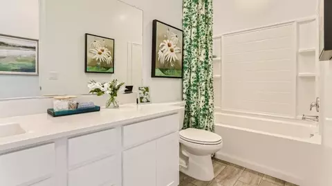 Bath - 8870 E Moontear Way, Vail, AZ 85641 photo 2 of 3