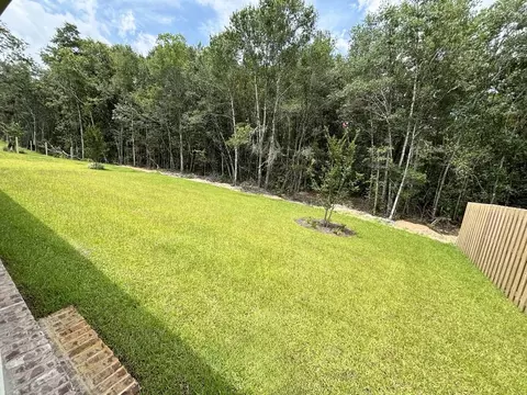 Exterior - 234 E Tweet St, Freeport, FL 32439 photo 3 of 4