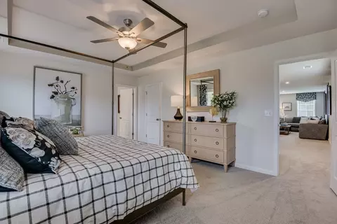Bedroom - 709 Feldspar Ct, Chapin, SC 29036 photo 8 of 10