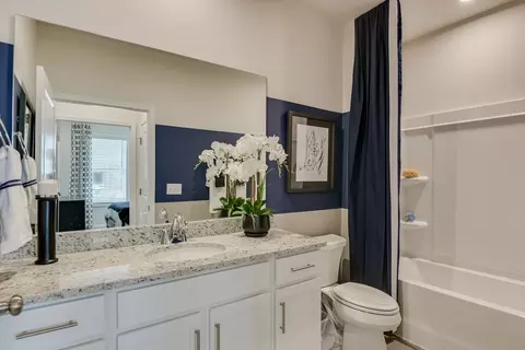 Bath - 709 Feldspar Ct, Chapin, SC 29036 photo 2 of 6