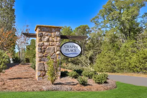 View/Area - 709 Feldspar Ct, Chapin, SC 29036 photo 1 of 3