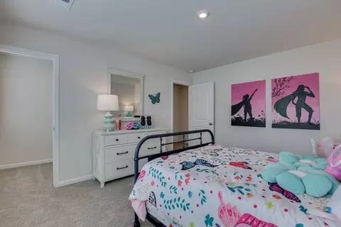 Bedroom - 709 Feldspar Ct, Chapin, SC 29036 photo 4 of 10