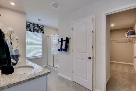 Bath - 709 Feldspar Ct, Chapin, SC 29036 photo 4 of 6