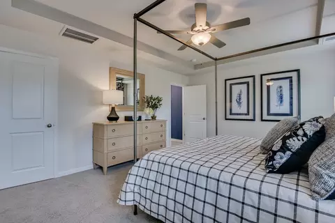 Bedroom - 709 Feldspar Ct, Chapin, SC 29036 photo 9 of 10