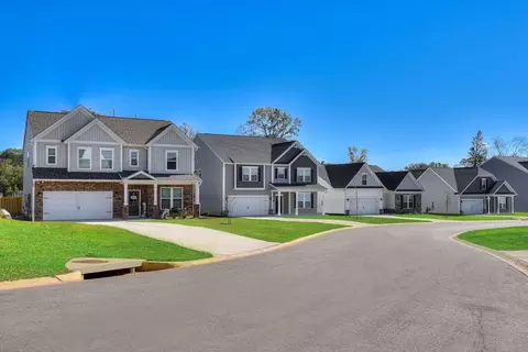Other - 709 Feldspar Ct, Chapin, SC 29036 photo 8 of 13