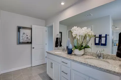 Bath - 709 Feldspar Ct, Chapin, SC 29036 photo 6 of 6
