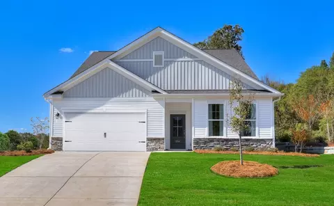 Exterior - 709 Feldspar Ct, Chapin, SC 29036 photo 4 of 8