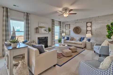 Living - 709 Feldspar Ct, Chapin, SC 29036 photo 7 of 7