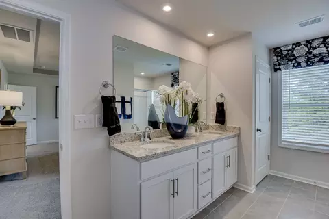 Bath - 709 Feldspar Ct, Chapin, SC 29036 photo 3 of 6