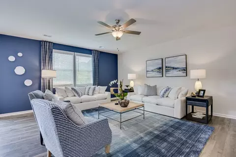 Living - 709 Feldspar Ct, Chapin, SC 29036 photo 2 of 7