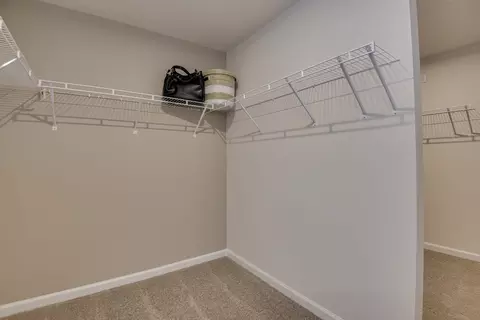 Other - 709 Feldspar Ct, Chapin, SC 29036 photo 5 of 13