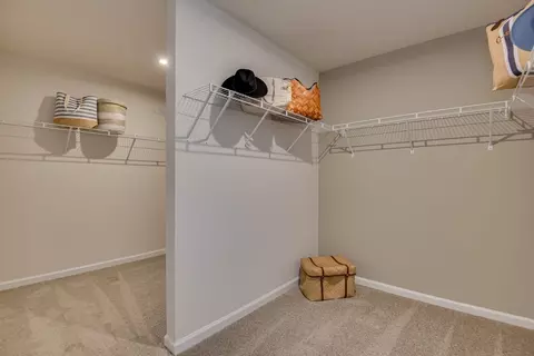 Other - 709 Feldspar Ct, Chapin, SC 29036 photo 4 of 13