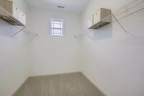 Other - 598 Noola St, Windsor, CO 80550 photo 2 of 13