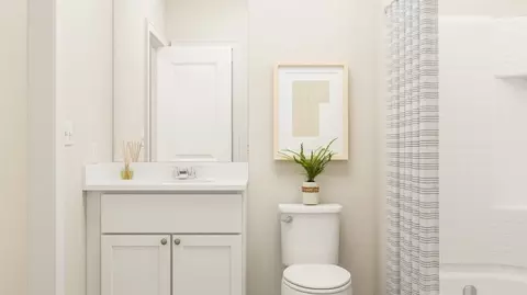 Bath - 309 Amsterdam Way, Hampton, GA 30228 photo 3 of 5