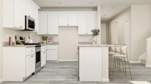 Kitchen - 309 Amsterdam Way, Hampton, GA 30228 photo 2 of 5