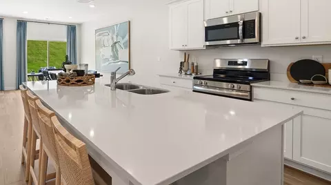 Kitchen - 309 Amsterdam Way, Hampton, GA 30228 photo 4 of 5