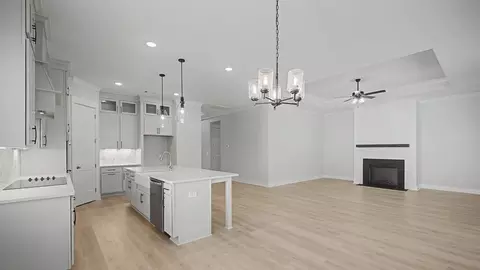 Living - 7403 Twill Heights Loop, Fairview, TN 37062 photo 3 of 5