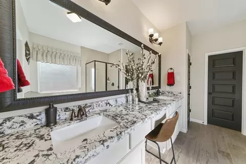 Bath - 32111 River Birch Ln, Waller, TX 77484 photo 1 of 6