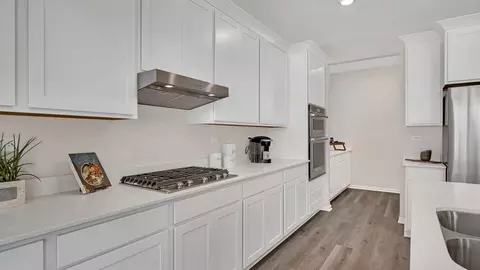 Kitchen - 290 Snowdrop Ln, Elgin, IL 60124 photo 14 of 15