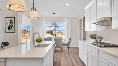 Kitchen - 290 Snowdrop Ln, Elgin, IL 60124 photo 15 of 15