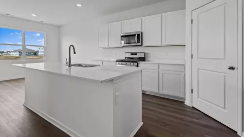 Kitchen - 290 Snowdrop Ln, Elgin, IL 60124 photo 5 of 15