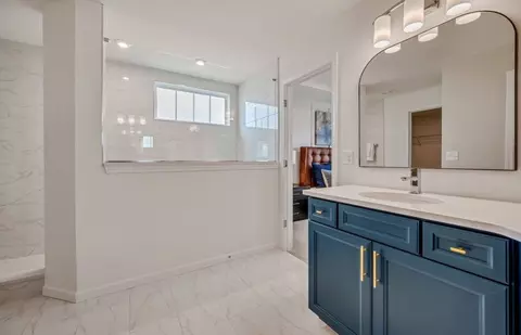 Bath - 12823 S Vicarage Dr, Plainfield, IL 60585 photo 2 of 7