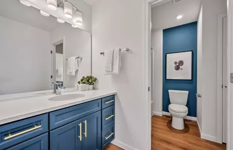 Bath - 12823 S Vicarage Dr, Plainfield, IL 60585 photo 5 of 7
