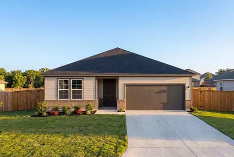 16412 Maple Pear, Elmendorf, TX 78112