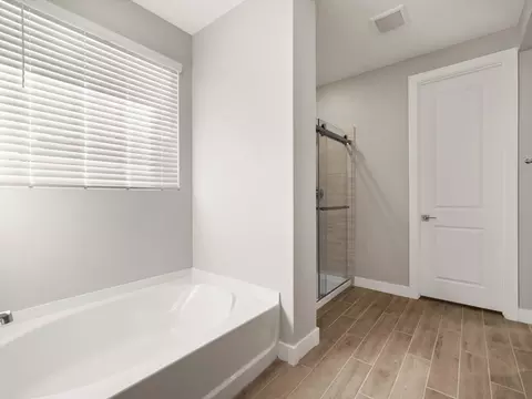 Bath - 358 W Flatiron Trl, Apache Junction, AZ 85120 photo 1 of 5