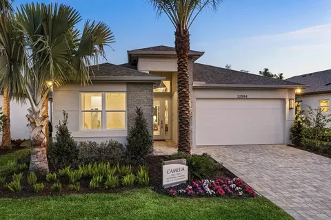 3655 Malta Ave, Wesley Chapel, FL 33543