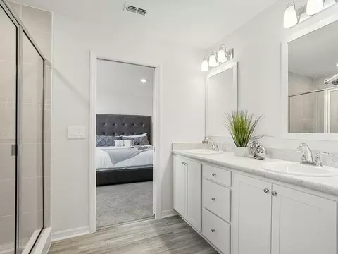 Bath - 12207 Cypress Branch St, Riverview, FL 33579 photo 1 of 6