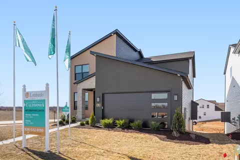Exterior - 173 Mora Blvd, O'fallon, MO 63368 photo 6 of 6