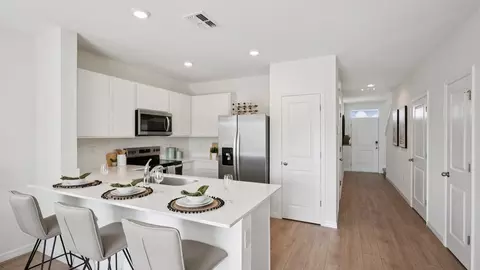 31302 Ancient Sage Rd, Wesley Chapel, FL 33545