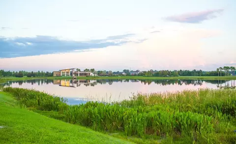 View/Area - 5387 Wolf Creek Dr, Apollo Beach, FL 33572 photo 13 of 18