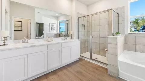 Bath - 10919 Rabbit Grove Trl, Parrish, FL 34219 photo 3 of 3