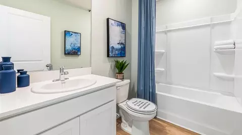 Bath - 10919 Rabbit Grove Trl, Parrish, FL 34219 photo 2 of 3