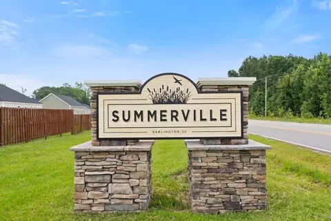 View/Area - 2083 E Paces Trl, Darlington, SC 29532 photo 2 of 5