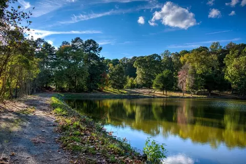 View/Area - 1002 Kingbird Ln, Clover, SC 29710 photo 7 of 15