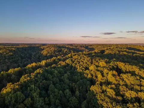 View/Area - 237 Berryhunter Ln, Franklin, TN 37067 photo 2 of 2